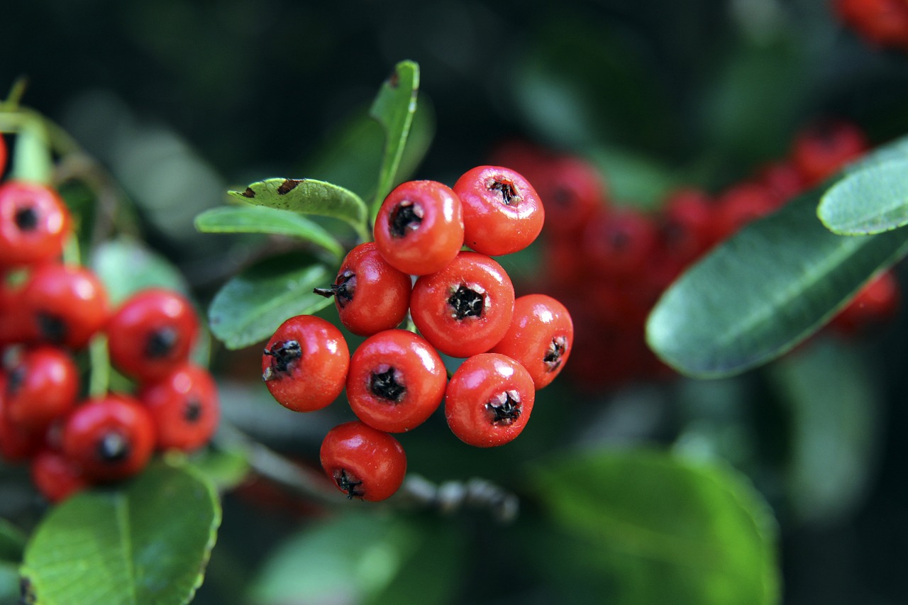 出巨大贡献 出巨大贡献