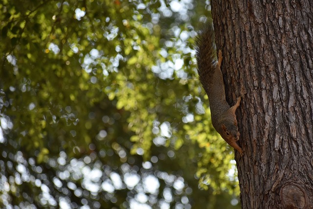 局势的能力 局势的能力